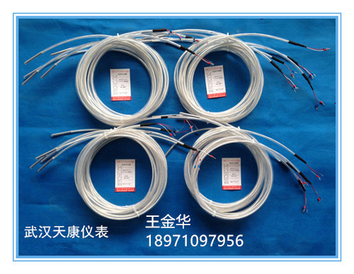 武汉天康Pt100导线式整体防腐铂热电阻TKWZPF-025通过ISO9001认证，电池厂电镀厂专用