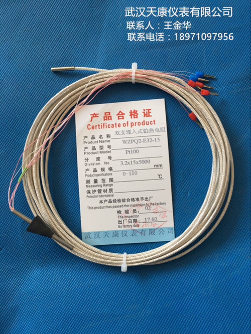 武汉天康双支埋入式铂热电阻WZPQ2-E32-15厂家直销,ISO9001认证售后保障